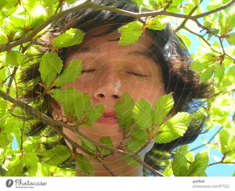 Dschungelkind II grün Blatt Frühling Gefühle träumen Gesicht Ast ruhig Auge