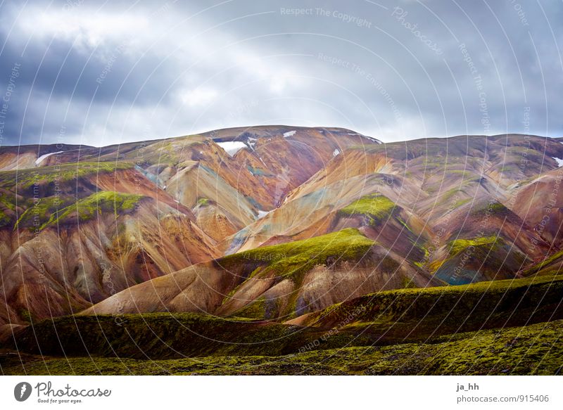 Island I Natur Landschaft Pflanze Urelemente Gewitterwolken Moos Berge u. Gebirge Vulkan Unendlichkeit ruhig Abenteuer Erholung Freiheit Reykjavík Vulkaninsel