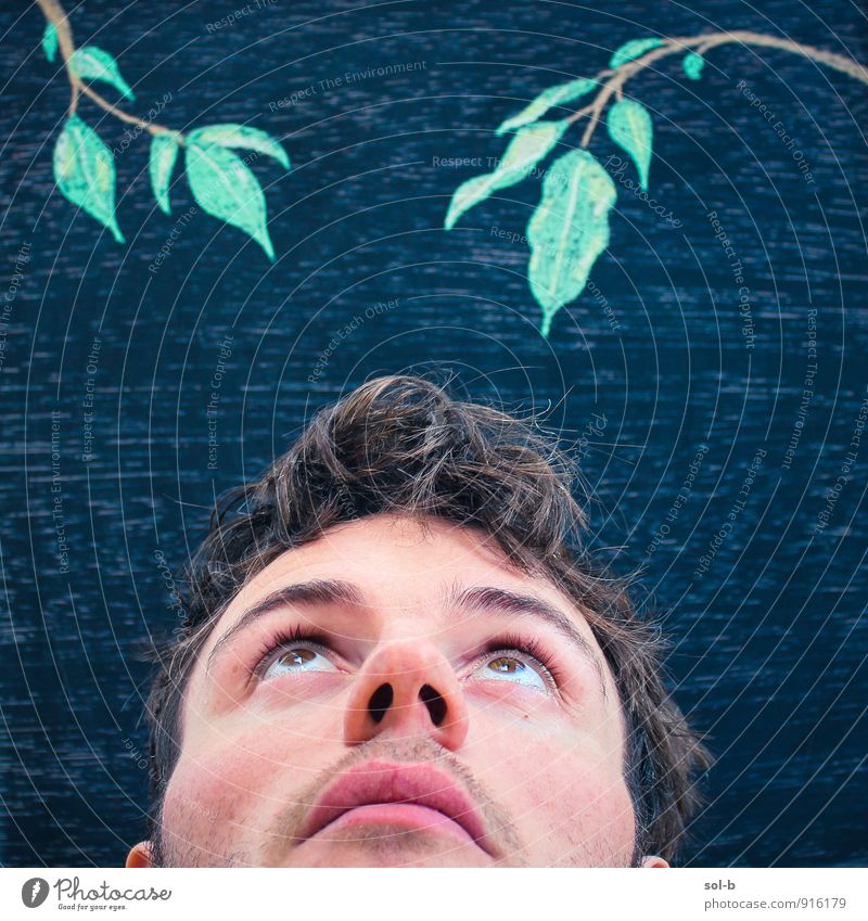 hmgnfvv maskulin Junger Mann Jugendliche 1 Mensch 18-30 Jahre Erwachsene Kunst Künstler Kunstwerk Kreidezeichnung Tafel Kreativität Natur Baum Blatt entdecken