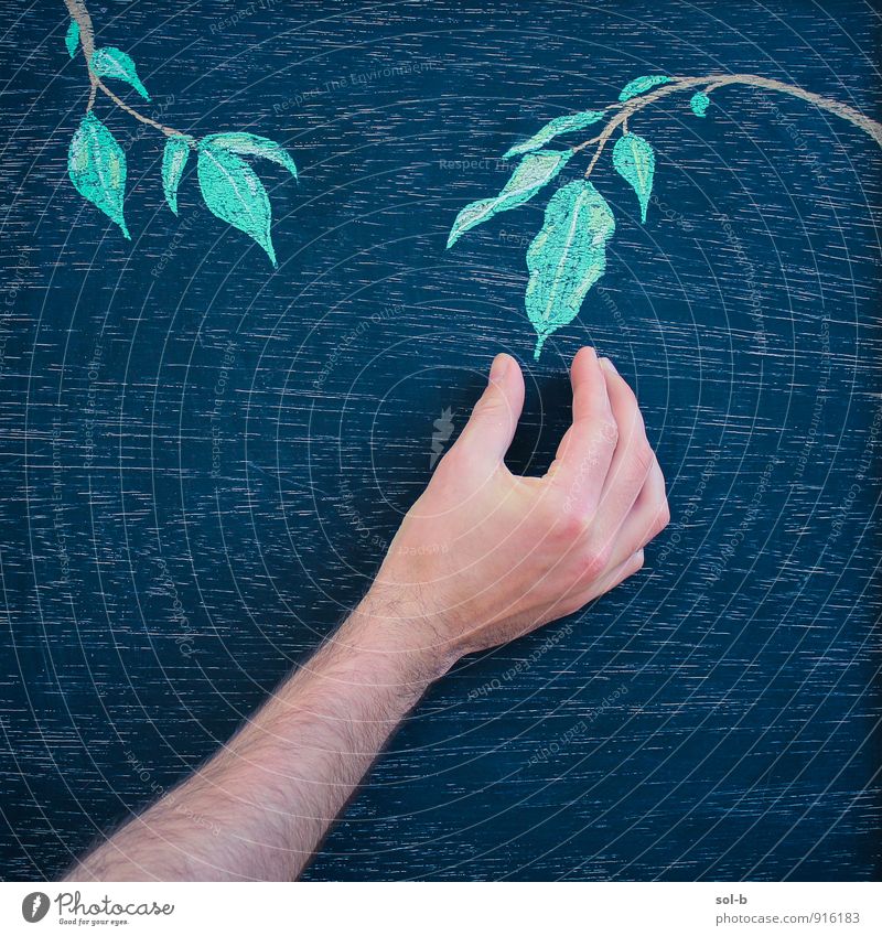 hmgntww Lifestyle Gesundheit maskulin Junger Mann Jugendliche Arme Hand 1 Mensch Kunst Kunstwerk Kreidezeichnung Kreativität Natur Pflanze Blatt wählen lustig