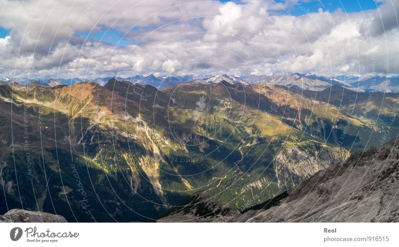 Dem Himmel nah wandern Umwelt Natur Landschaft Urelemente Erde Wolken Wetter Schönes Wetter Baum Wald Alpen Berge u. Gebirge Gipfel Tal Sulden Südtirol atmen