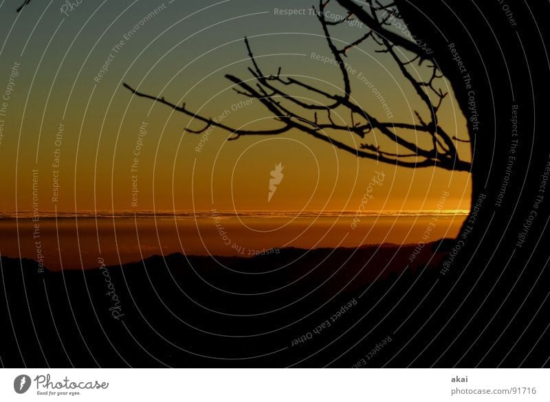 Abendrot am Schauinsland Sonnenuntergang heimelig Bronze Gefühle Schwärmerei orange Südbaden bernsteinfarben Kontrast Planet Amber Sonnenbad Panorama (Aussicht)