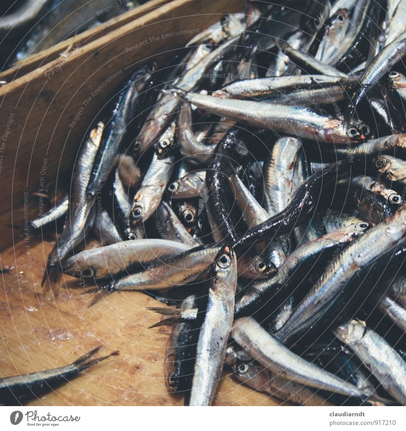 Mercato Orientale Fisch sardellen anchovy Hering Totes Tier frisch viele silber Marktstand Wochenmarkt Fischmarkt Kiste Holzkiste Lebensmittel Foodfotografie