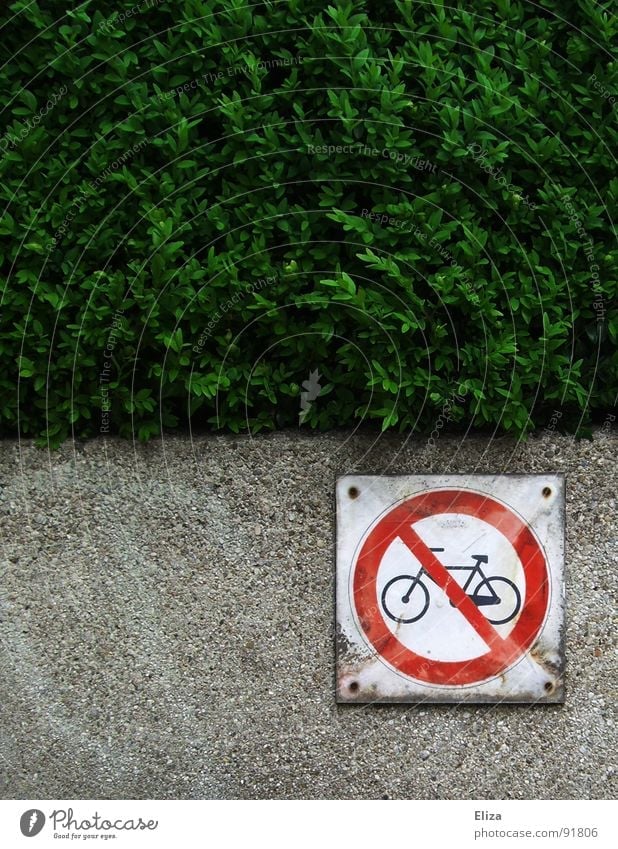 Fahrradfahren verboten Fahradfahren verboten Fahrrad fahren Umweltschutz Verbotsschild faulenzen Hecke Mauer rot gegen Regel ungesund Umweltverschmutzer
