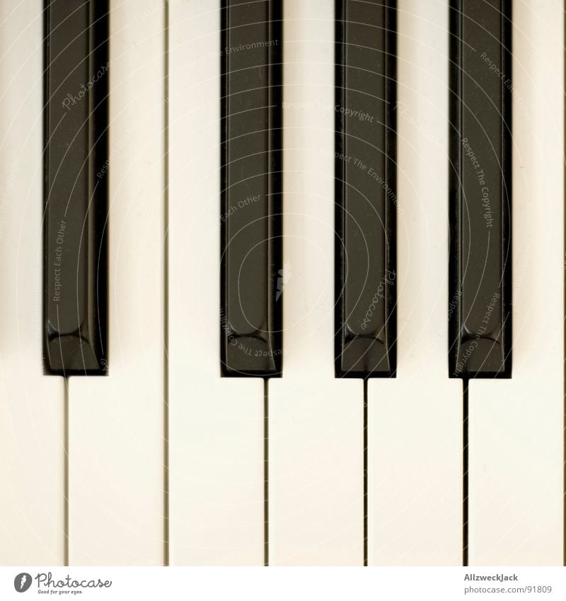 Kla4 Klavier Tasteninstrumente schwarz weiß Klavier spielen Spielen komponieren Klimpern Musik Dynamik Kunst Kunsthandwerk Konzert Zufriedenheit berühren Flügel
