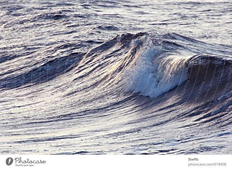 graublaue Nordseewelle mit Silberschimmer Welle Wellenrauschen Rauschen der Wellen nordisch Meer Norden besonderes Licht maritim Wellengang Wasser romantisch