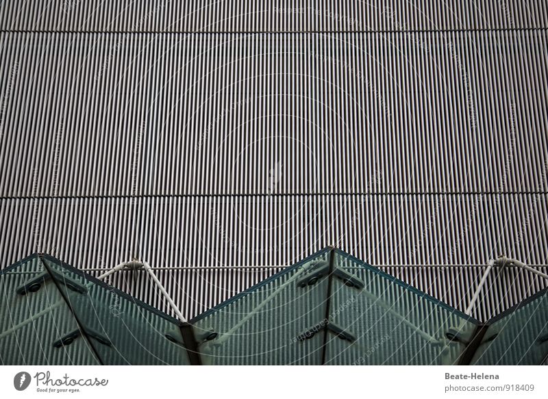 Made in China | discovered in Japan Lifestyle Haus Wirtschaft Fassade Dach entdecken hängen eckig grün silber Sicherheit Schutz Ausdauer Wellenlinie Vordach