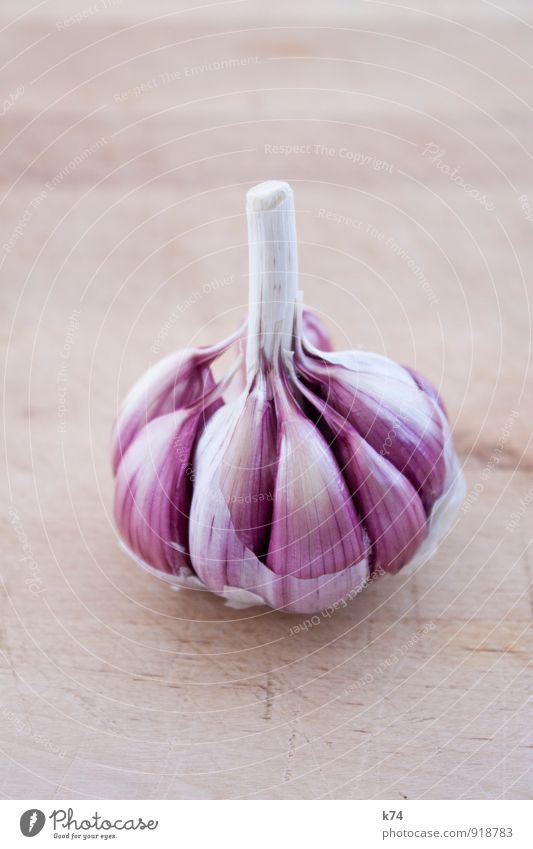 Allium sativum Lebensmittel Knoblauch Gesundheit violett weiß Geruch Übelriechend lecker Farbfoto Nahaufnahme Menschenleer Textfreiraum oben Textfreiraum unten