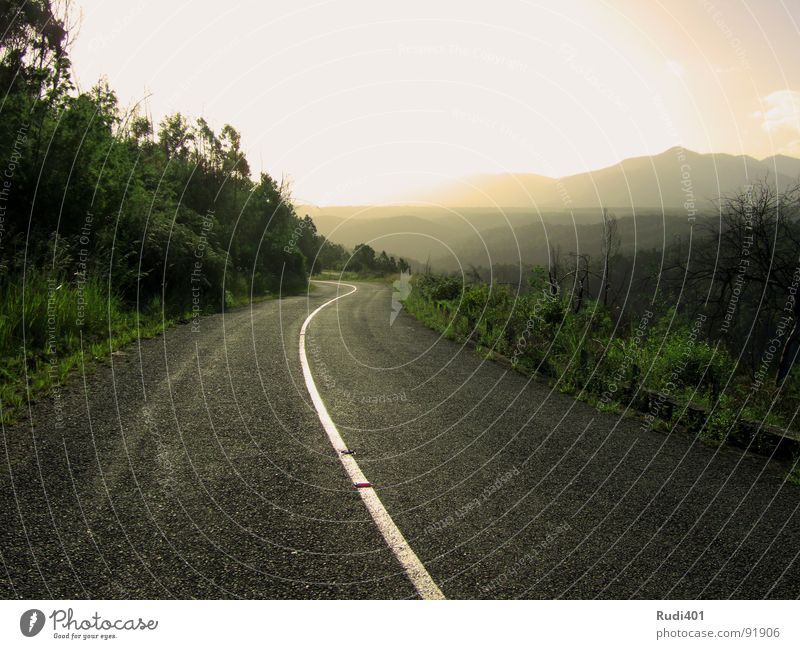 der sonne entgegen Licht vorwärts Streifen Dämmerung blenden Tsitsikamma National Park grün Afrika Berge u. Gebirge Verkehrswege Straße südarfika Sonne Abend
