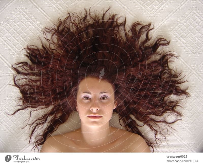 Electric Hair Frau weiß braun Vogelperspektive Konzentration Mensch Haare & Frisuren Gesicht