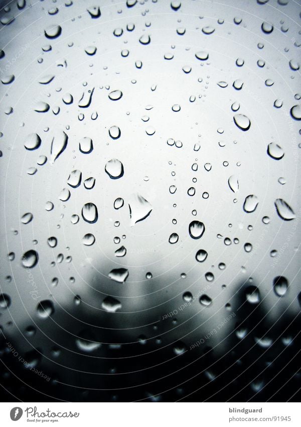 Raindrops On My Window Makroaufnahme grau Fenster Unwetter Trauer trist April Regen nass feucht Umwelt Apokalypse durchsichtig Wasser Nahaufnahme Gewitter