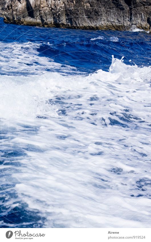 reißend Wasser Felsen Wellen Küste Meer bedrohlich frisch gigantisch stark blau weiß Kraft Leben Gischt tosen Wellengang tief Farbfoto Außenaufnahme