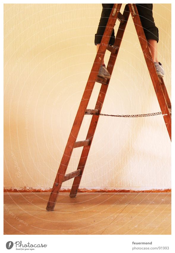Bald haben wir es hinter uns... Leitersprosse Renovieren streichen tapezieren Tapete Raum Wohnung Wand Erneuerung Handwerk Beine Anstreicher