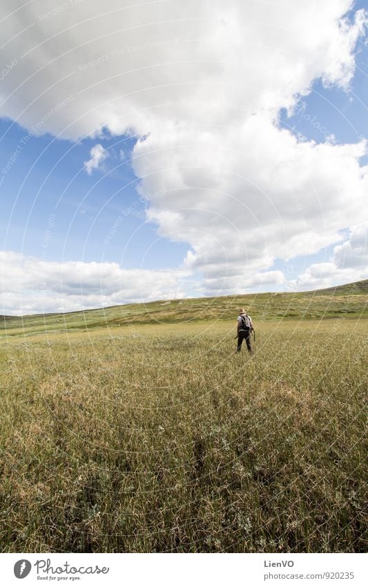 Backpacker im Sumpf wandern Natur Landschaft Erde Luft Himmel Wolken Horizont Sommer Dürre Gras Nutzpflanze Wiese Feld Moor Hardangervidda entdecken