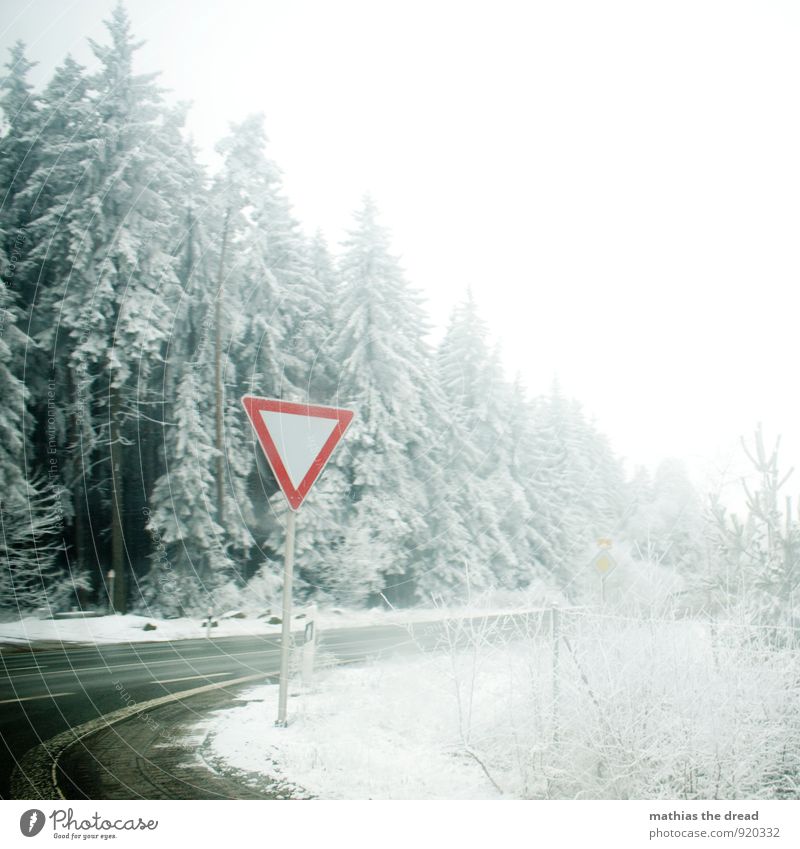 SCHILD Umwelt Natur Wolken Winter schlechtes Wetter Schnee Schneefall Baum Wald Verkehr Verkehrswege Straßenverkehr Straßenkreuzung Verkehrszeichen