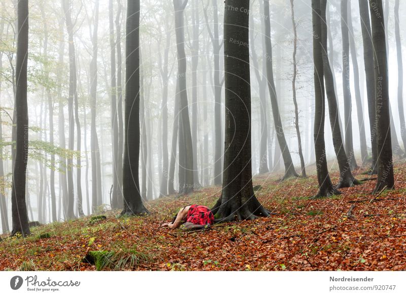 Rotkäppchen..... Ausflug Mensch feminin Frau Erwachsene Natur Landschaft Urelemente Klima Wetter schlechtes Wetter Nebel Regen Baum Wald Kleid liegen