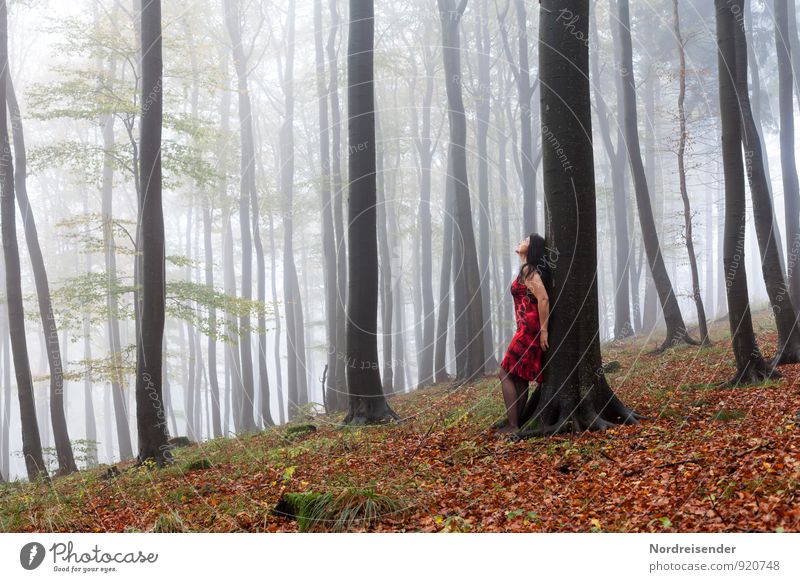 Junge Frau in einem nebligen Wald Lifestyle Freude harmonisch Wohlgefühl Sinnesorgane Erholung ruhig Meditation Ausflug Mensch feminin Erwachsene 1 Natur