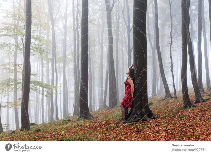 Zwischen den Buchen Mensch feminin Frau Erwachsene 1 Natur Landschaft Urelemente Sommer Herbst Wetter Nebel Regen Baum Wald Kleid schwarzhaarig langhaarig