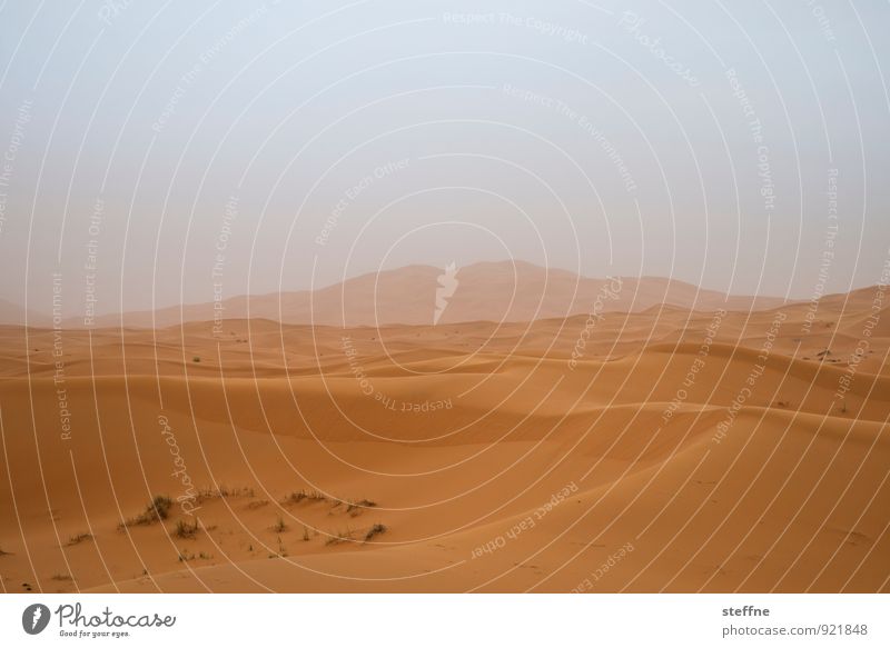 Wüste (4/10) Sand Düne Wärme Ferien & Urlaub & Reisen Tourismus Naher und Mittlerer Osten Arabien Sahara 100 und eine Nacht Marokko Algerien Tunesien Abenteuer