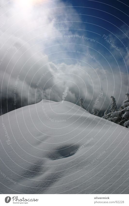 Almkogel Winterstimmung Stimmung Skitour Bergsteigen Schneekristall Gipfel Nadelbaum Kontrast weichnachtlich