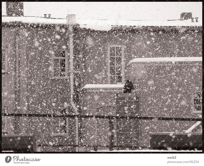In Watte getaucht Winter Klima Schönes Wetter Eis Frost Schnee Schneefall Stadt Altstadt Haus Bauwerk Gebäude Architektur bewohnt Mauer Wand Fassade Fenster