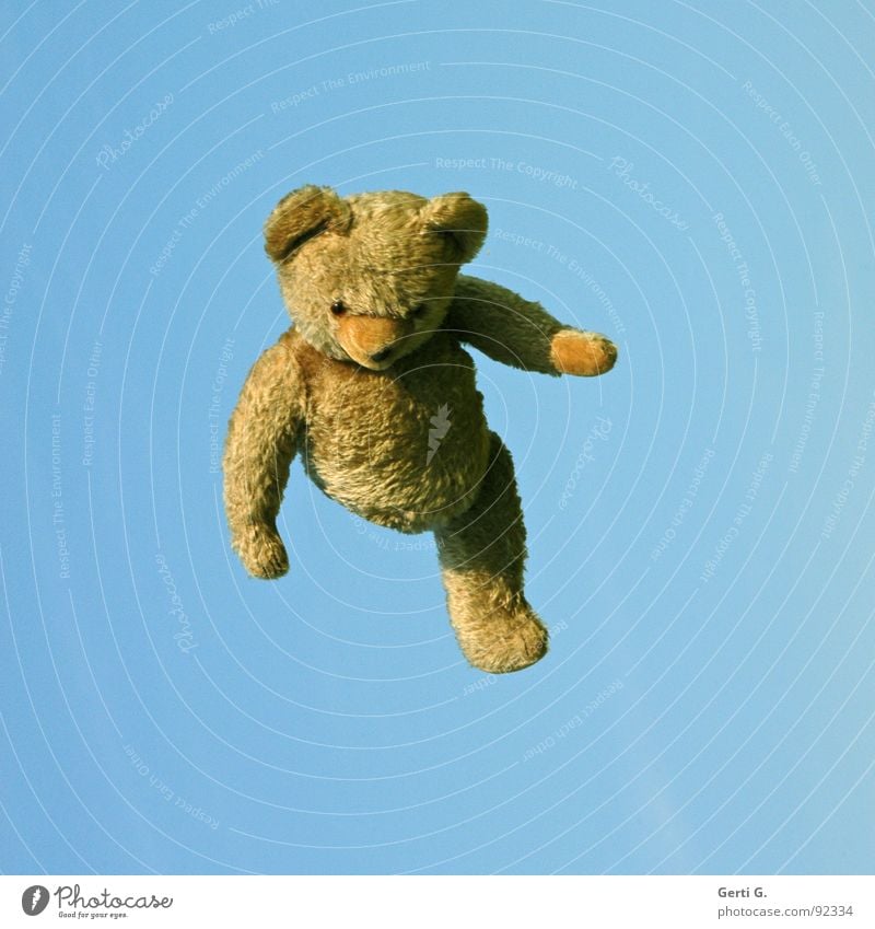 alle Teddys fliegen hooooch hochwerfen springen Teddybär Spielzeug braun Sommertag Phantomschmerz Behinderte Freude obskur Freizeit & Hobby arm dran bein ab