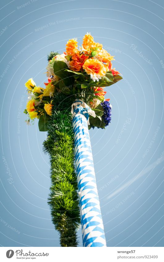 Wiesnstrauß Oktoberfest Blumenstrauß Fahnenmast blau mehrfarbig blau-weiß Froschperspektive himmelwärts Farbfoto Außenaufnahme Nahaufnahme Menschenleer