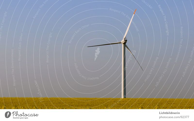 Windenergieanlage Windkraftanlage Generator Rapsfeld Landwirtschaft himmelblau Frühling Energiewirtschaft Drehbewegung Rotor Windenergiekonverter Himmel