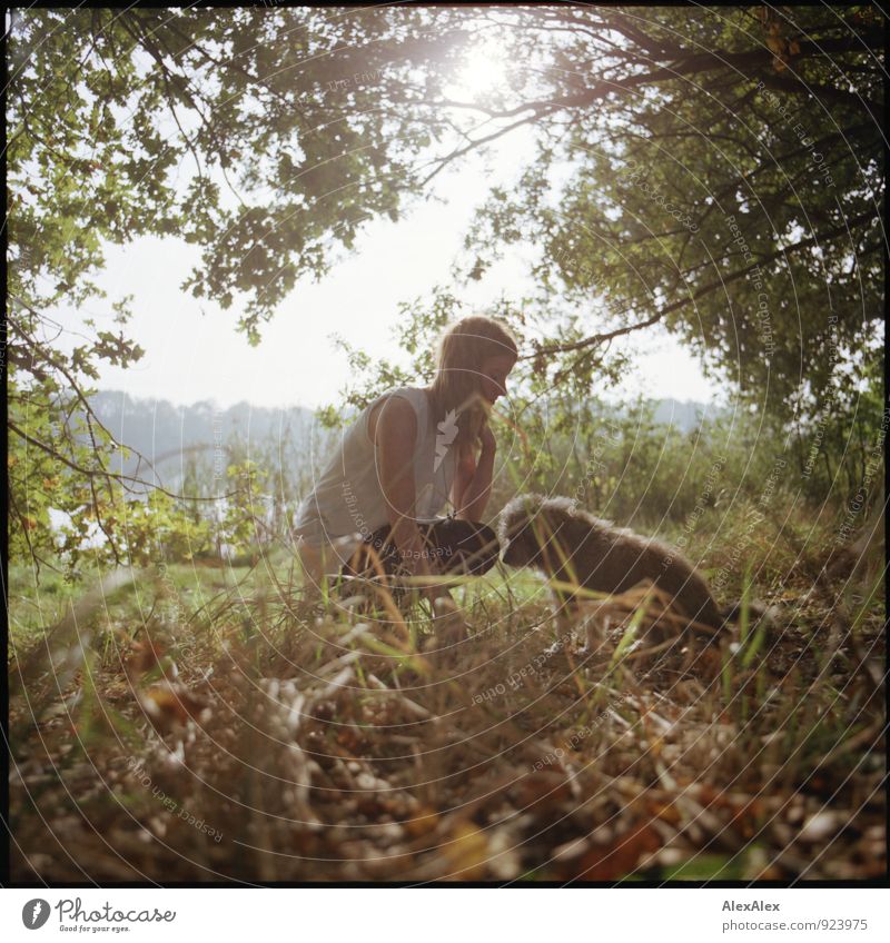 Gegenlicht - Junge Frau hockt am Waldrand mit ihrem kleinen Hund, den sie ermahnt und der wegschaut Ausflug Jugendliche 18-30 Jahre Erwachsene Natur