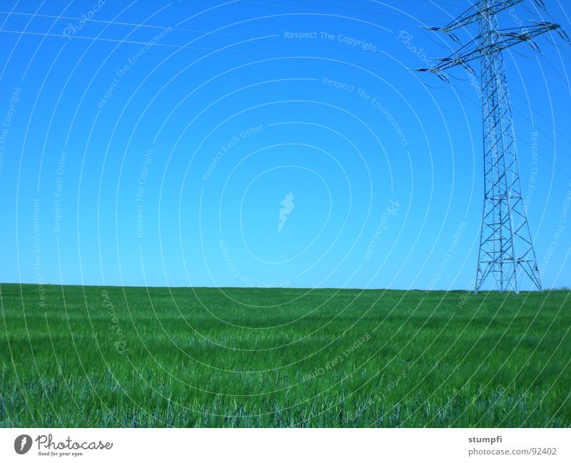 natur und technik Frühling Sommer Feld wandern Weizen Luft grün Gras Wiese Elektrizität Getreide Himmel blau Natur Strommast