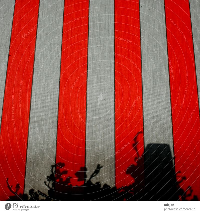 Efeu incognito Stoff Wand Streifen gestreift rot weiß schwarz graphisch Ecke Schatten Silhouette Gemälde gezeichnet fangen dreckig schmuddelig Grunge Fahne