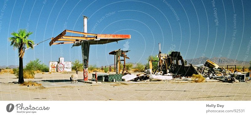 Nie wieder Benzin... Tankstelle Sprit Ruine Endstation Dürre Palme verfallen Trauer USA Wüste nie wieder Mad Max Himmel blauer Himmel. tanken trocken gefahren