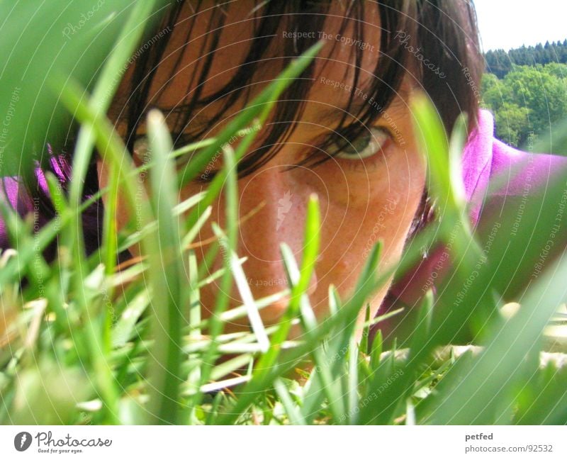 Durchdringen II grün violett Gras Frühling Gefühle Gesicht Auge Blick