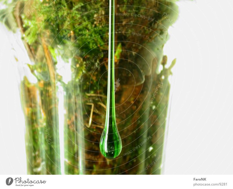 GlasTropfen grün Vase Makroaufnahme Nahaufnahme Wassertropfen