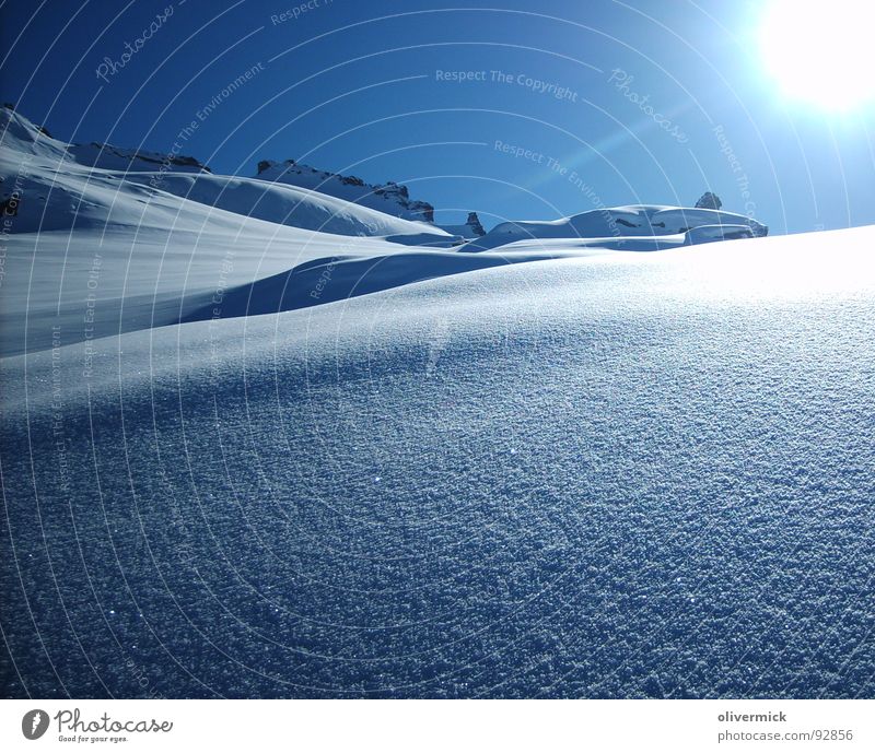 ein wunderschöner tag Pulverschnee Stimmung Silhouette Winterstimmung Tiefschnee Schneekristall Sonne Schatten hell/dunkel unberührte natur Blauer Himmel