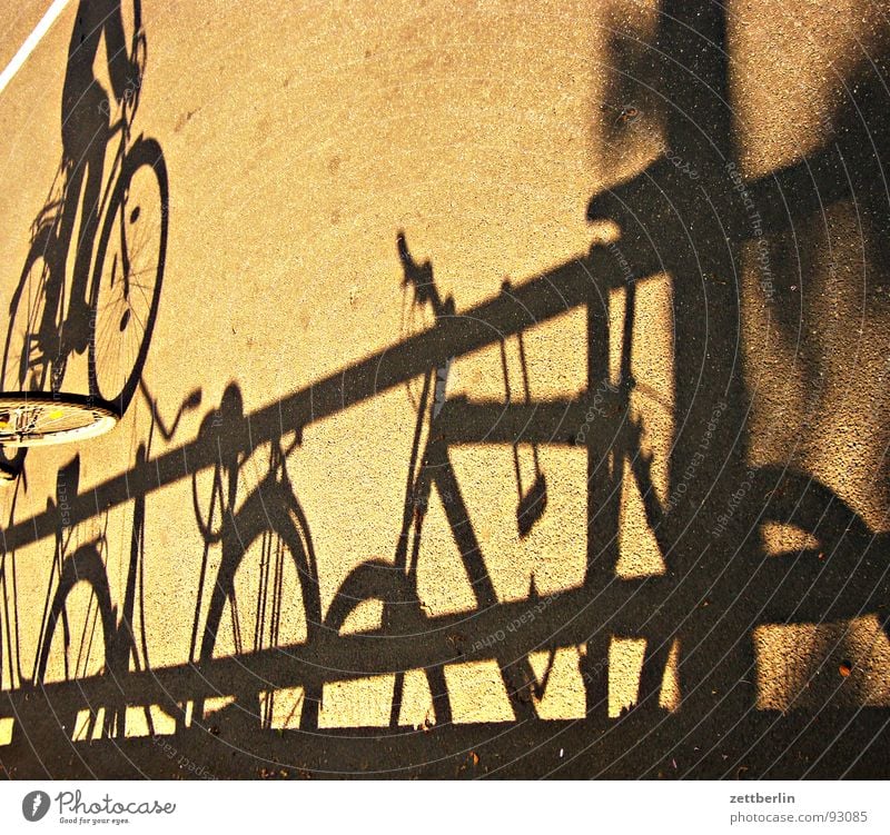 Schatten Schattendasein Schattenspiel Fahrrad Damenfahrrad Kinderfahrrad Tour de France Asphalt fahren Fahrradfahren Verkehrswege Fitness obskur fahrradschatten