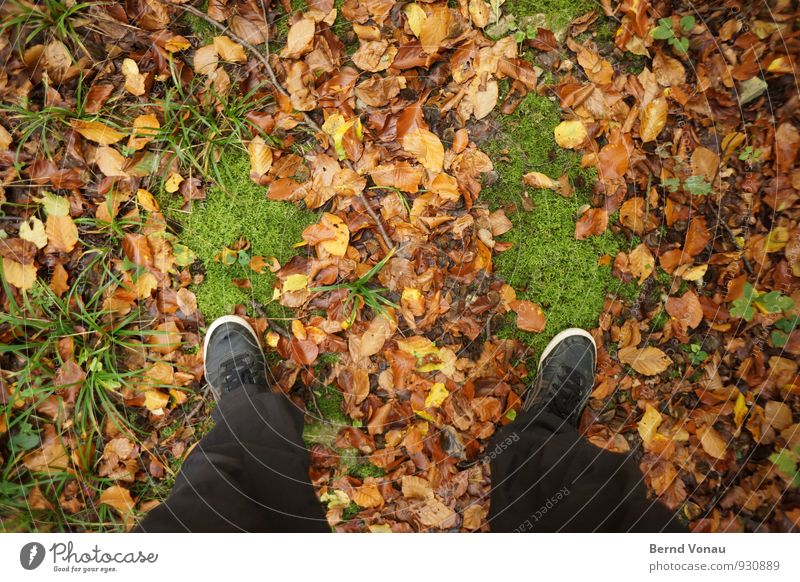 green footprint Herbst Moos Blatt Schuhe Fußspur stehen unten grün Redewendung Herbstlaub Hose Waldboden Wetter herbstlich Gras braun schwarz Spaziergang