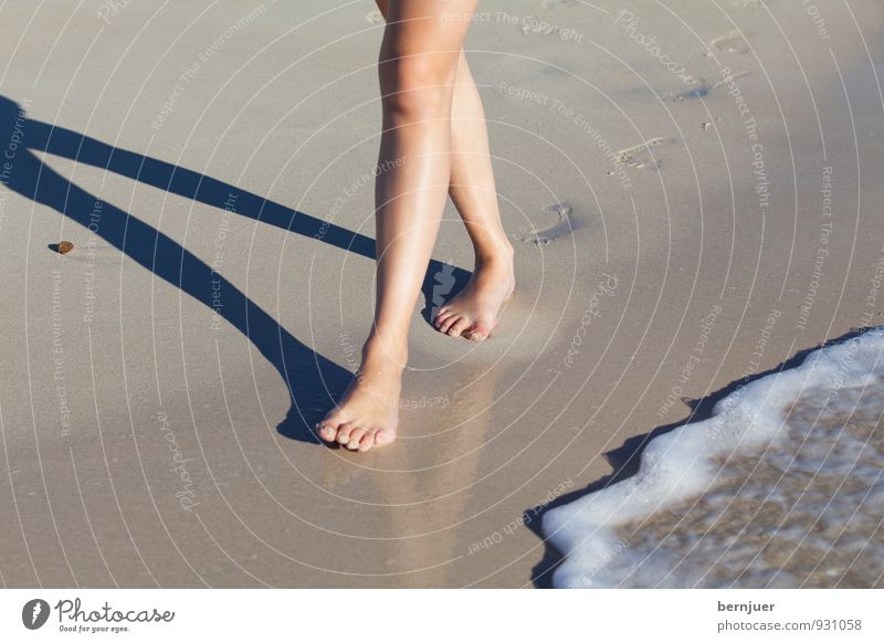 Strandläufer Mensch feminin Beine 1 18-30 Jahre Jugendliche Erwachsene Schwimmen & Baden gehen natürlich braun authentisch Zufriedenheit Fußspur Spuren