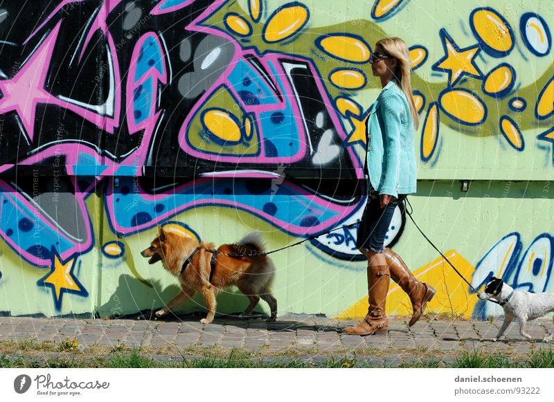 Heidi Klum geht Gassi Frau Hund Spaziergang mehrfarbig rosa zyan gelb Gemälde sprühen abstrakt Sommer Freizeit & Hobby laufen Graffiti blau