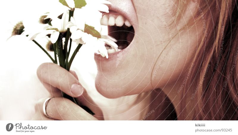 Vegetarierin Blume weiß Gänseblümchen bissig Lippen Finger Aggression Selbstportrait Gesundheit Vegetarische Ernährung grade Mund offen Haare & Frisuren