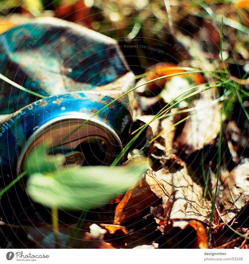 Zivilisation Dose Coladose Bierdose Blech Müll wegwerfen Umwelt Umweltverschmutzung Blatt Gras Natur Holzmehl Weißblech weggeworfen blau tin beer steel flat