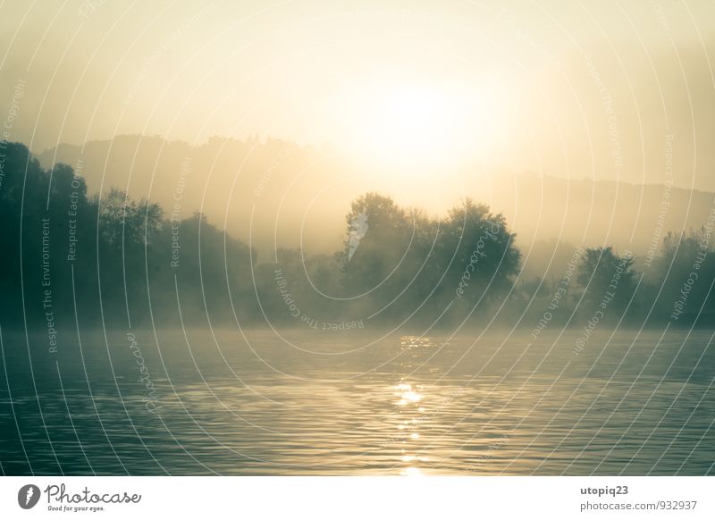 Morgennebel am Fluss Natur Landschaft Wasser Sonnenaufgang Sonnenuntergang Sonnenlicht Nebel Flussufer braun gelb gold silber Kraft friedlich träumen Einsamkeit