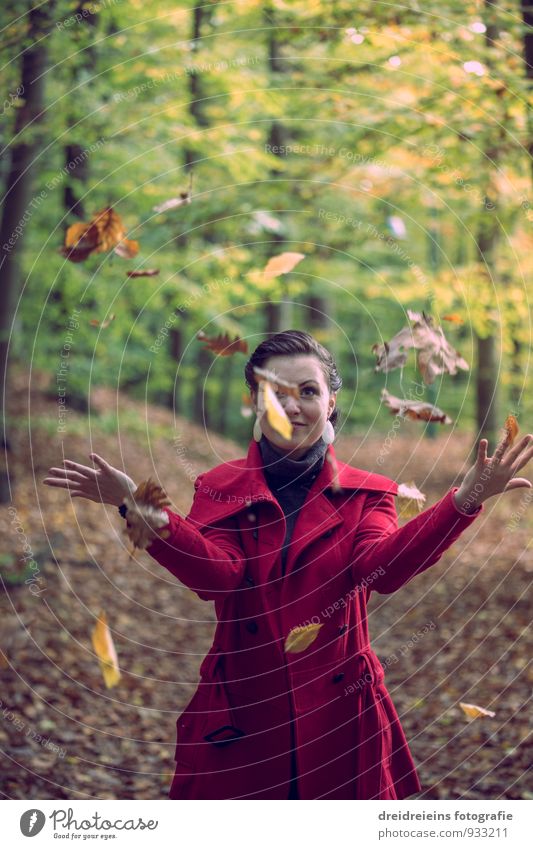 Spaß & Spiel im herbstlichen Blätterwald feminin Junge Frau Jugendliche Erwachsene Natur Wald Jacke Freundlichkeit Fröhlichkeit einzigartig schön Freude