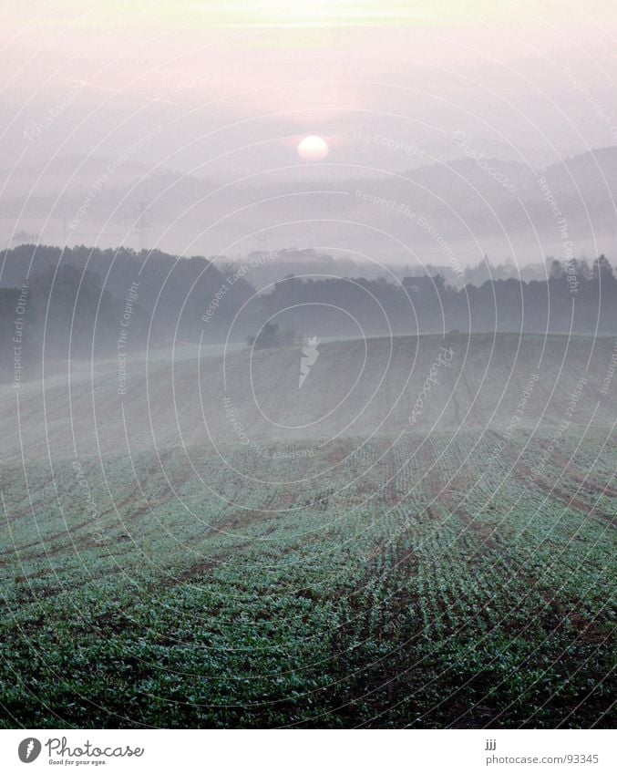 tschechischer morgennebel Nebel Sonnenaufgang Feld aufwachen Morgennebel Tschechien Hügel Europa Kraft Tal Furche Landschaft