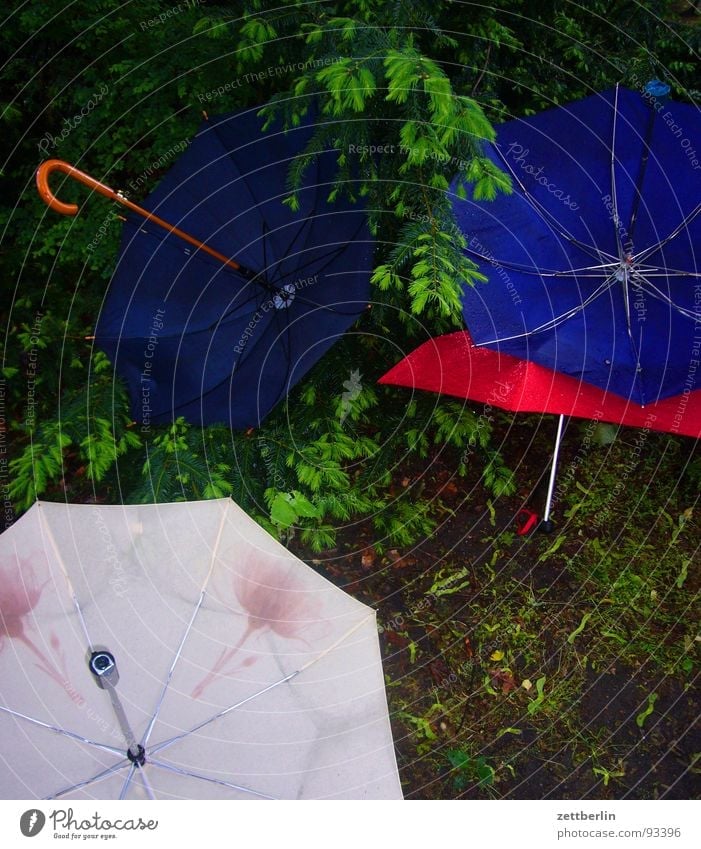 Regen Regenschirm schlechtes Wetter Wetterdienst Tiefdruckgebiet Regenbekleidung Regenjacke Wetterschutz Wald Märchenwald Tiergarten Freizeit & Hobby obskur