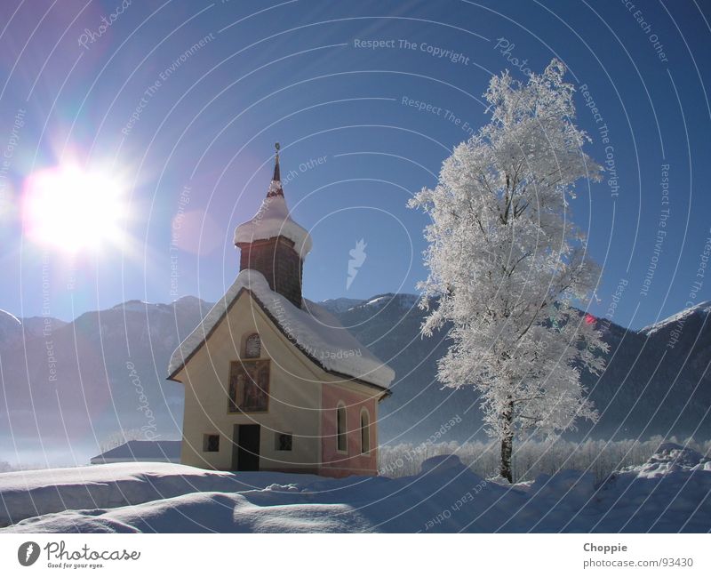 Eiskalte Heiligkeit Winter weiß strahlend Gegenlicht Baum Europa Österreich Hintergrundbild demütig Außenaufnahme Landschaft Vertrauen blau Natur Schnee Sonne