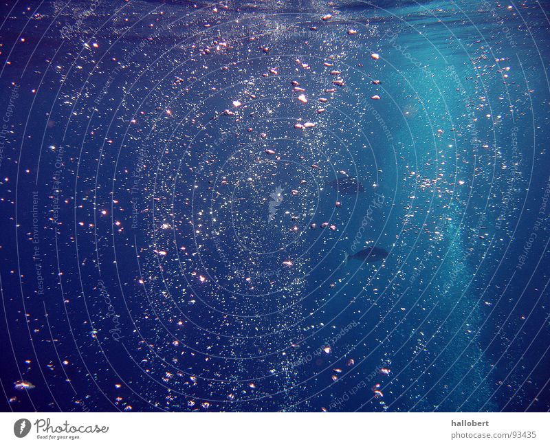 Malediven Water 03 Meer tauchen Schnorcheln Wellen Luftblase Wasser Unterwasseraufnahme wasser von unten meer von unten