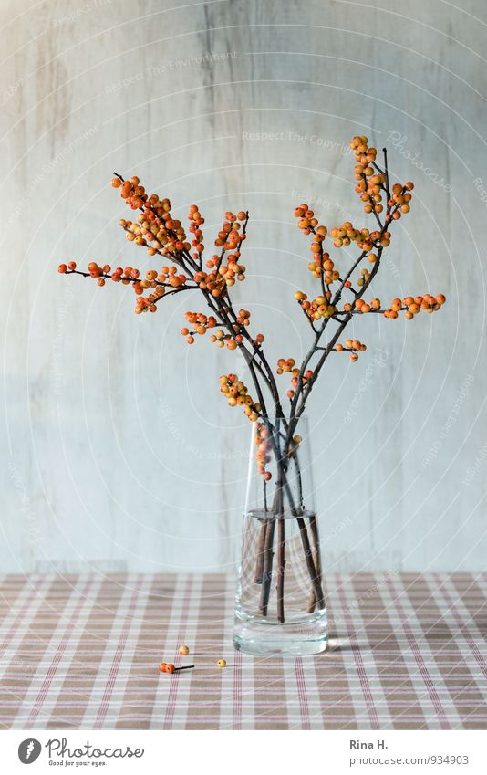 HerbstStill II braun orange Stillleben Vase Ilex Beerenfruchtstand Tischwäsche Farbfoto Menschenleer Textfreiraum oben Textfreiraum unten Schwache Tiefenschärfe