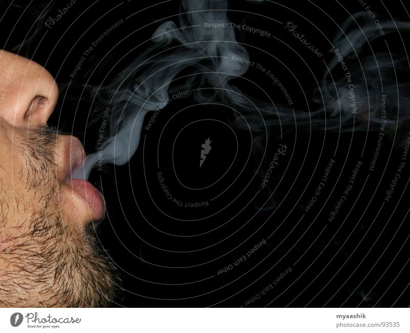 smoke Wind Gesundheit smoking man face with smoke cigarette tobacco stop smoking smoke free