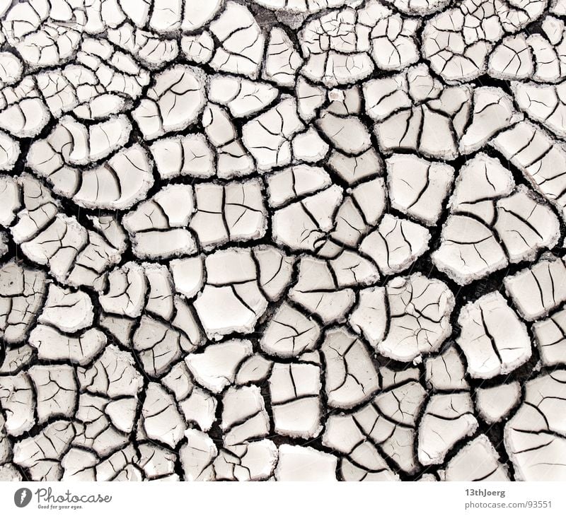 Wüstenmosaik Physik Mosaik Formation Muster Dürre Sommer dehydrieren Zufall Kruste Erdscholle Umwelt trocken durstig Hintergrundbild Strukturen & Formen Erde